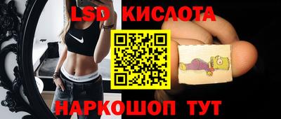 молекула духа Ярцево