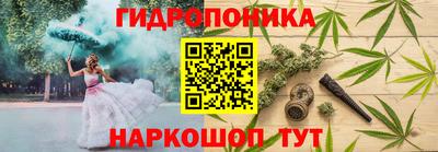спиды Ярославль