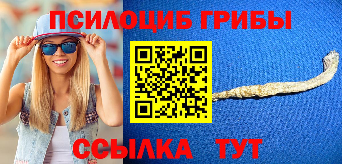Псилоцибиновые грибы Psilocybine cubensis  Вход с VPN  Белогорск 